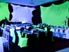 neon_2_t.jpg